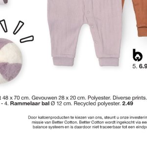 Bal op Zeeman