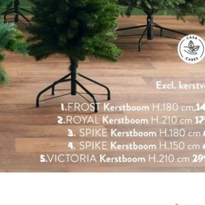 Kerstboom op Casa