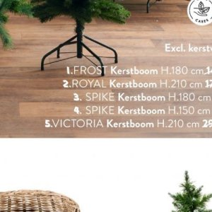 Kerstboom op Casa