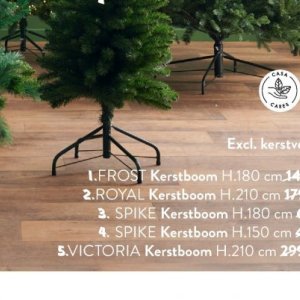 Kerstboom op Casa