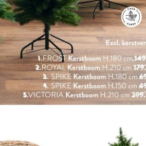 Kerstboom op Casa