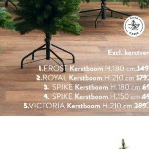 Kerstboom op Casa