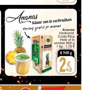 Ananas op Cora