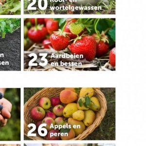 Aardbeien op Aveve