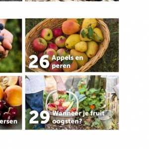 Peren op Aveve