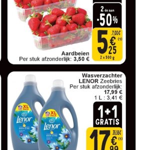 Aardbeien op Cora