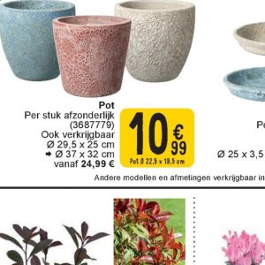 Pot op Cora