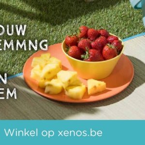 Printer op Xenos