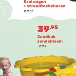 Zonnebloem op Happyland