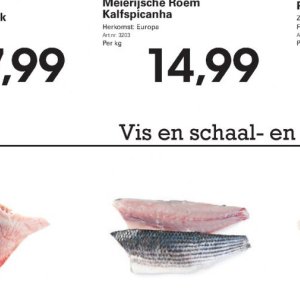 Vis op Sligro-M
