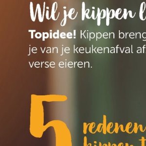 Eieren op Aveve