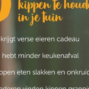 Eieren op Aveve