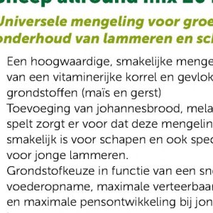 Maïs op Aveve