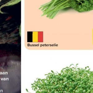 Peterselie op Carrefour