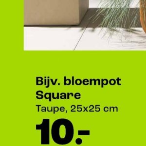 Bloempot op Kwantum