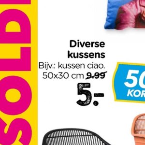 Kussen op Xenos