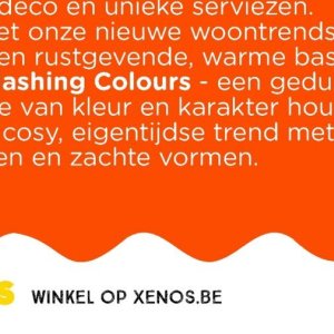 Printer op Xenos