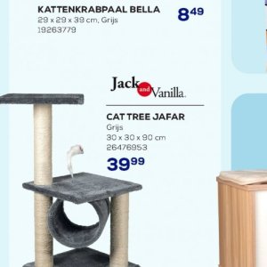  CAT op Supra Bazar