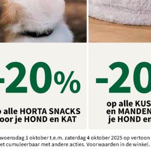 Snacks op Horta