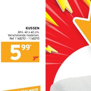 Kussen op Trafic