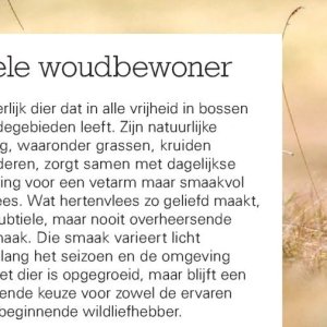 Kruiden op Sligro-M