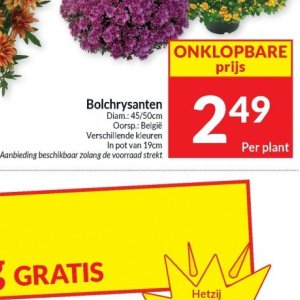 Pot op Intermarché