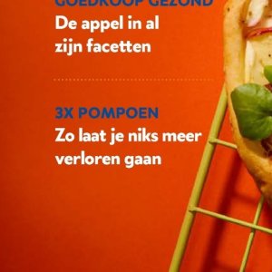 Pompoen op OKay