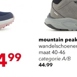 Wandelschoenen