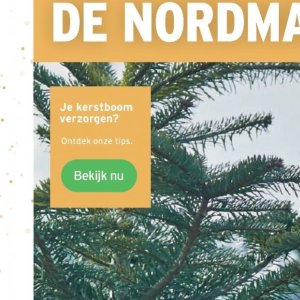 Kerstboom