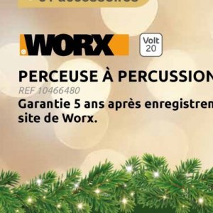 Worx