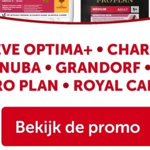 Royal canin