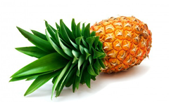 Ananas