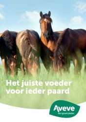 Folder Aveve Antwerpen