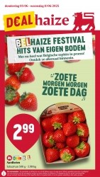 Folder Delhaize 