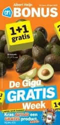 Folder Albert Heijn 