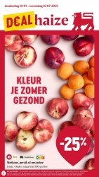 Folder Delhaize 