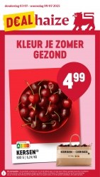 Folder Delhaize Kasterlee