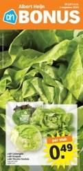 Folder Albert Heijn