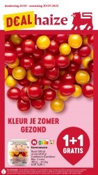 Folder Delhaize