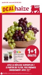 Folder Delhaize 