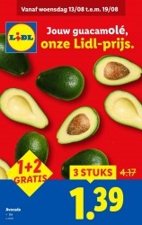 Folder Lidl 