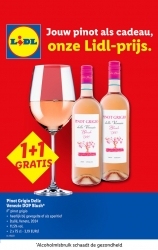 Folder Lidl Gent