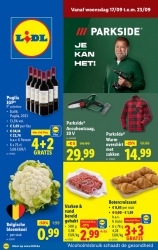Folder Lidl Affligem
