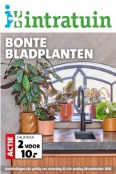 Folder Intratuin 
