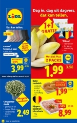 Folder Lidl Buggenhout