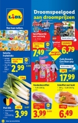 Folder Lidl Harelbeke