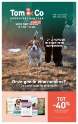 Folder Tom & Co Gent