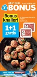 Folder Albert Heijn 